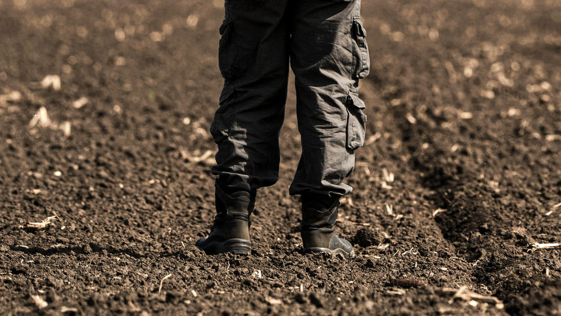 Uneven spring seedbed showing inconsistent soil depth and clod formation after cultivation